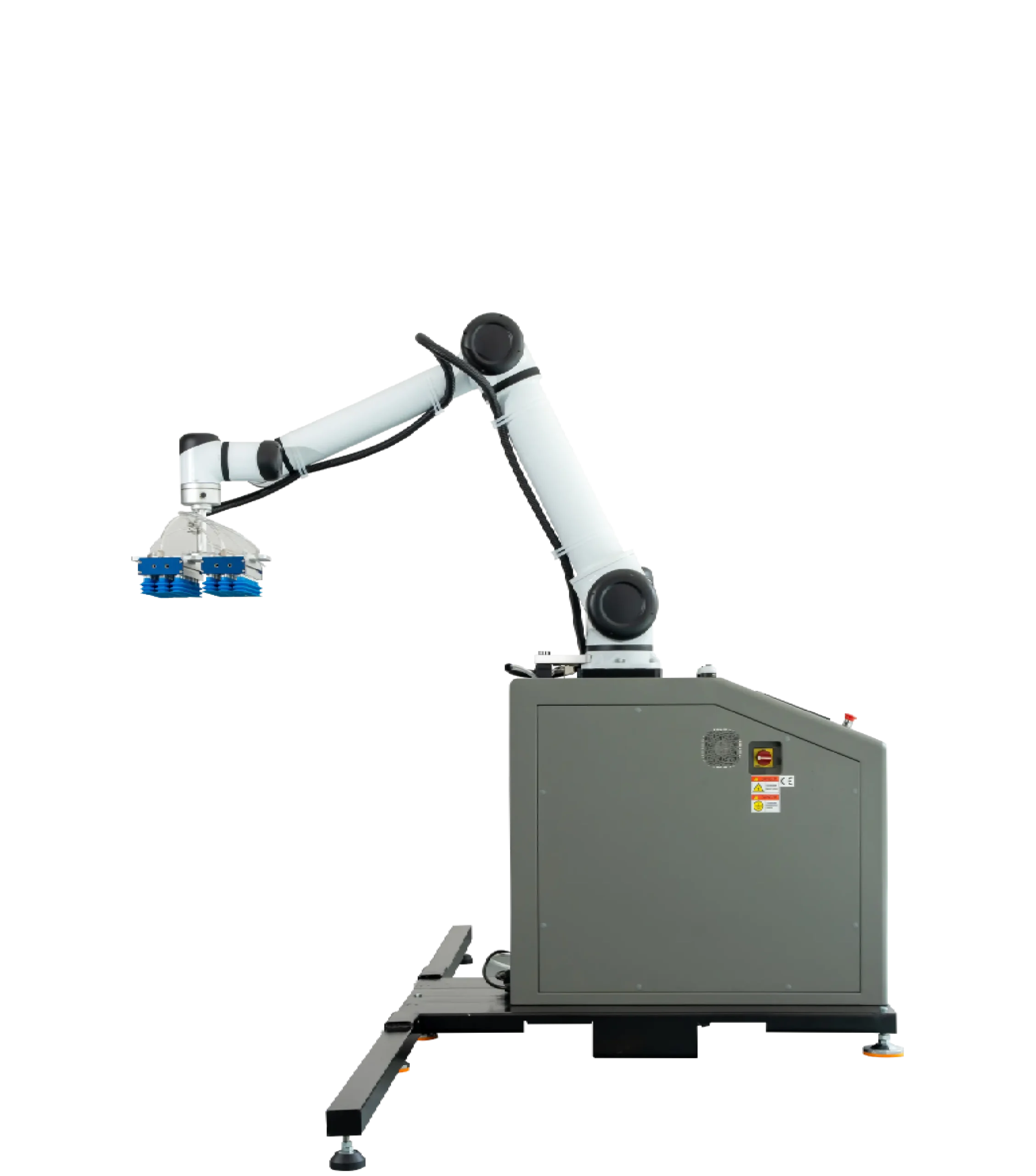 Palletizing machine Forstan